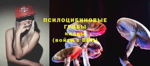 гашик Алексин