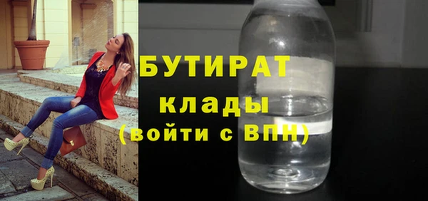 гашик Алексин
