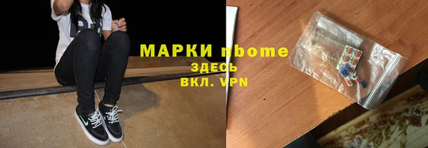 гашик Алексин