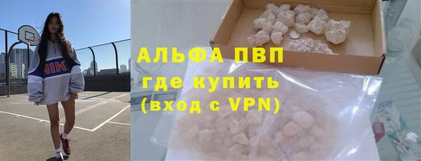 гашик Алексин