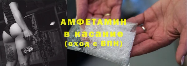гашик Алексин