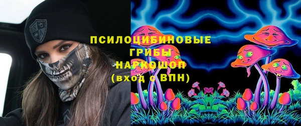 гашик Алексин