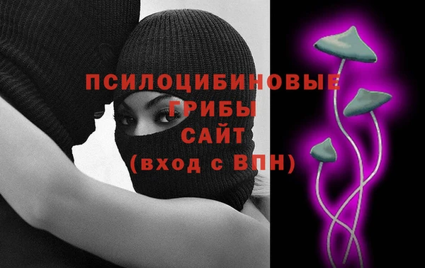СК Алексеевка