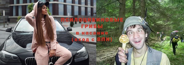 эйфоретик Алзамай