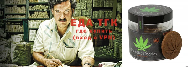 гашик Алексин